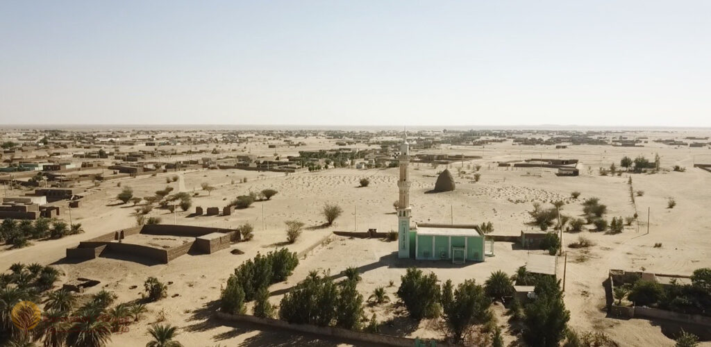 الدكتور محمد حمور